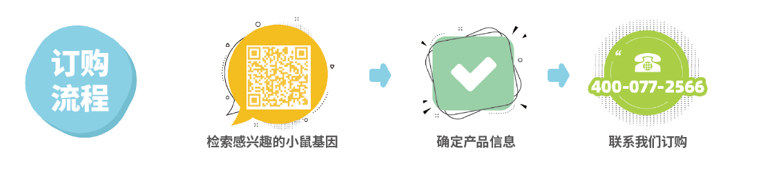 【維真生物】小鼠gRNA pool克隆