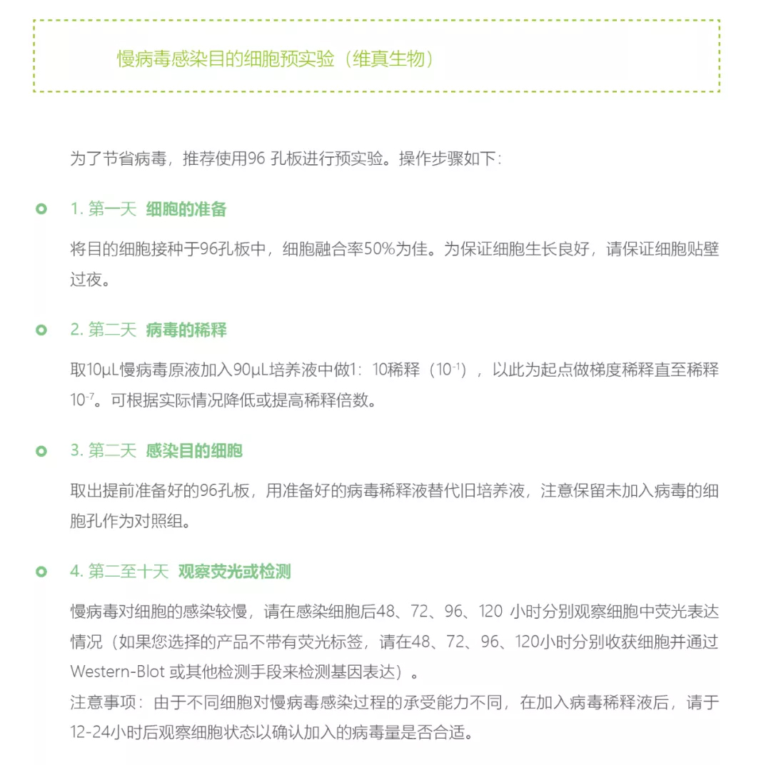 慢病毒感染細(xì)胞摸索MOI值的操作步驟